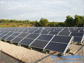 太陽能發電總量躍居全球第一 技術服務驅動的綠色革命